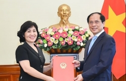 Генеральный консул Вьетнама в Луангпрабанге (Лаос) вручила консульский патент