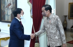 Активизация отношений стратегического партнёрства между Вьетнамом и Индонезией