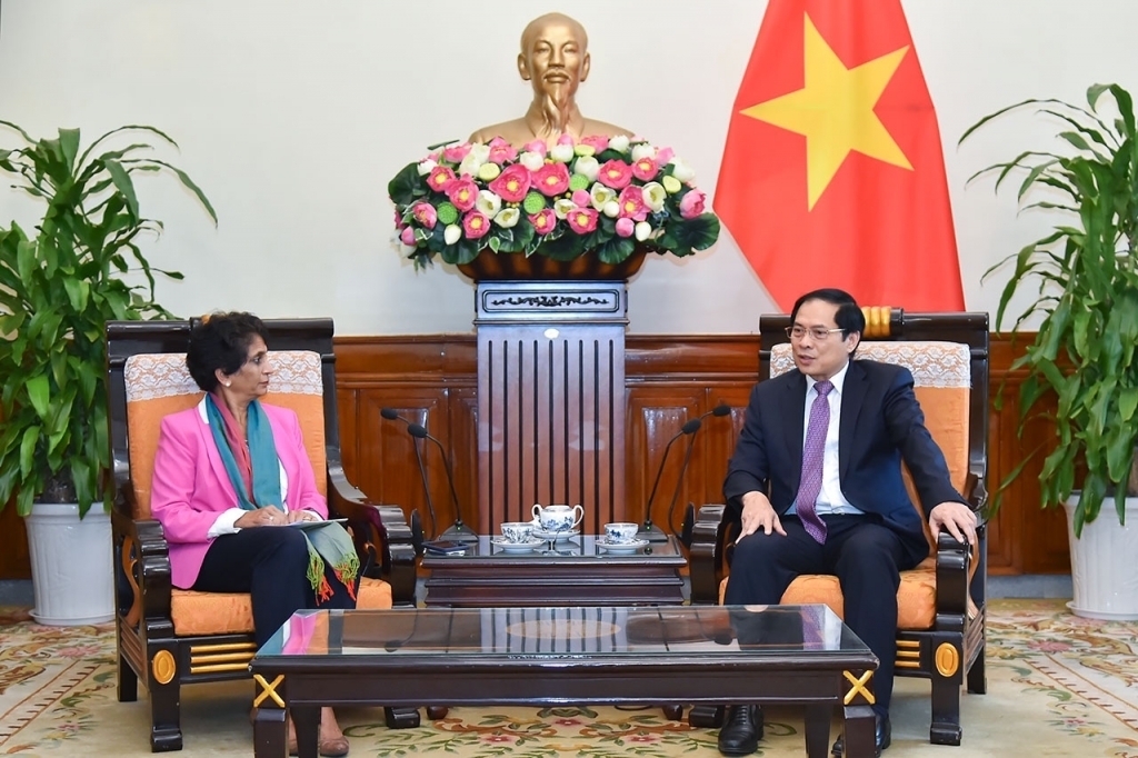 Министр иностранных дел Вьетнама Буй Тхань Сон принял помощницу Генерального секретаря ООН, регионального директора ПРООН по Азии
