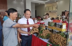 Содействие потреблению лонгана и сельскохозяйственной продукции провинции Хынгиен на рынке Юго-Западного Китая
