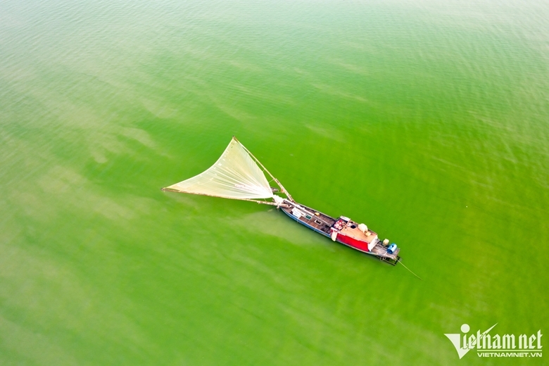 Сезон зеленых водорослей на озере Чйан