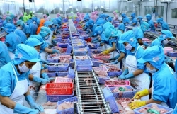 Экспорт сельскохозяйственной, лесной и рыбной продукции Вьетнама увеличился более чем на 13%