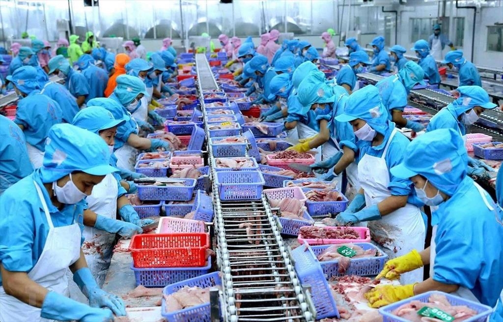 За первые восемь месяцев 2022 года экспорт аквапродуктов превысил 7,5 млрд долларов США За первые восемь месяцев 2022 года экспорт аквапродуктов превысил 7,5 млрд долларов США