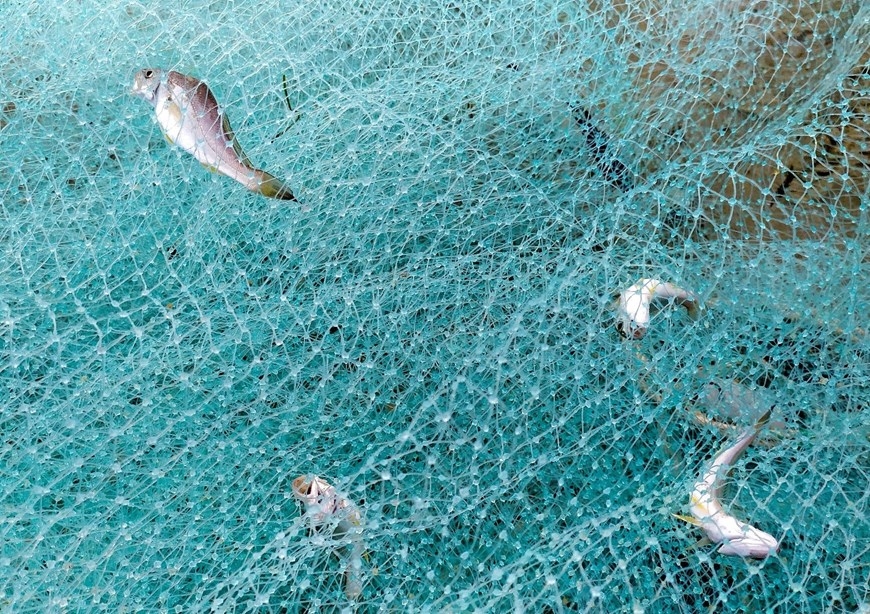 Уникальное рыбацское ремесло в Дананге