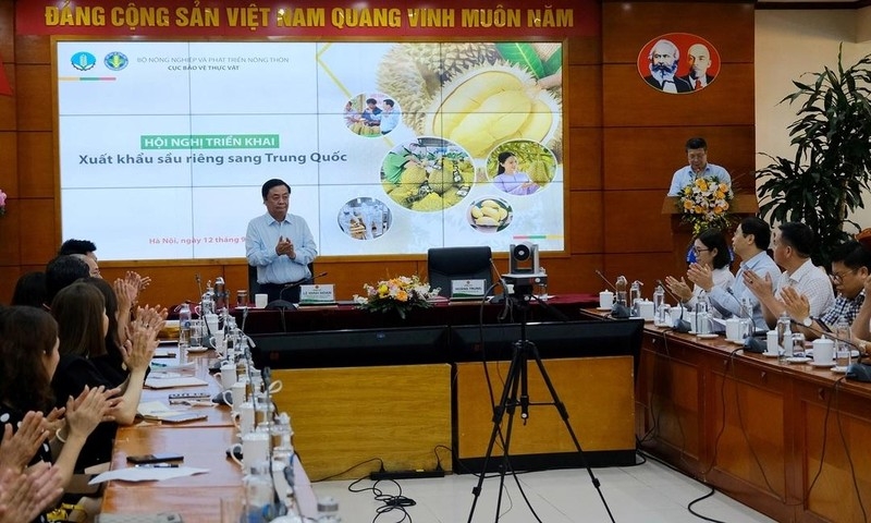 Развертывание мер по экспорту дуриана в Китай