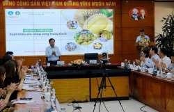 Развертывание мер по экспорту дуриана в Китай