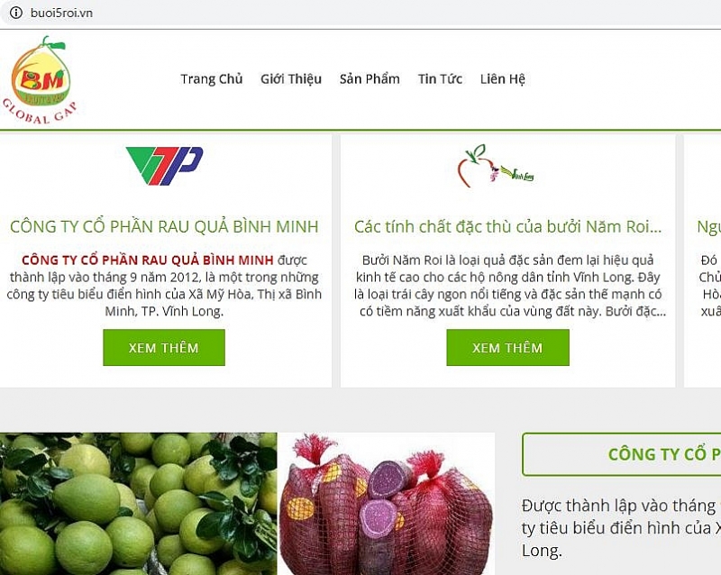 Сельскохозяйственная продукция под брендом «Виньлонг» появилась на платформе электронной коммерции под доменом .vn