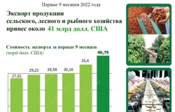 Экспорт продукции сельского, лесного и рыбного хозяйства принес около 41 млрд долл. США