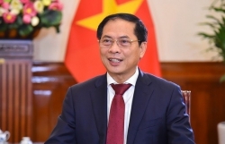 Вьетнам совместно с международным сообществом приложит усилия по построению мира во всем мире