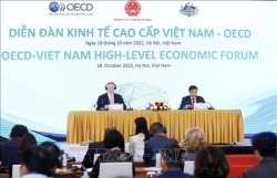 Укрепление обязательств перед Вьетнамом является одним из главных приоритетов ОЭСР