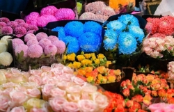 Крупнейший цветочный рынок Ханоя в преддверии Дня вьетнамских женщин