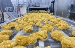 Экспорт первой партии переработанного куриного мяса в Японию