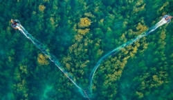 Лес водорослей в Куангнгае, вид сверху