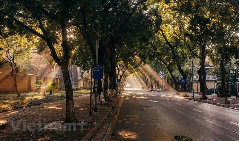 Самая красивая улица столицы Ханоя осенью