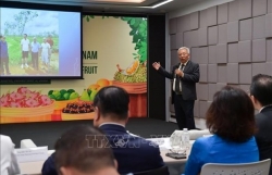 Вьетнам стремится расширить поставки местных фруктов в Таиланд