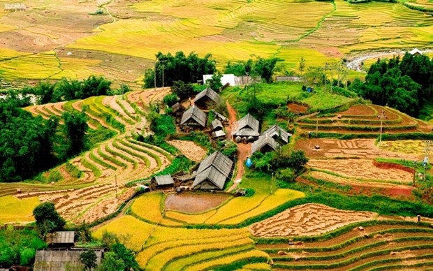 Интересные туристические направления во Вьетнаме, которые обязательно нужно посетить осенью
