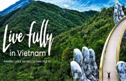 Вьетнам продвигает туризм на World Travel Market London