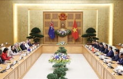 Премьер-министр Фам Минь Чинь провел переговоры с премьер-министром Новой Зеландии