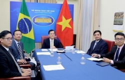 Вьетнам и Бразилия провели политические консультации на уровне заместителей министров