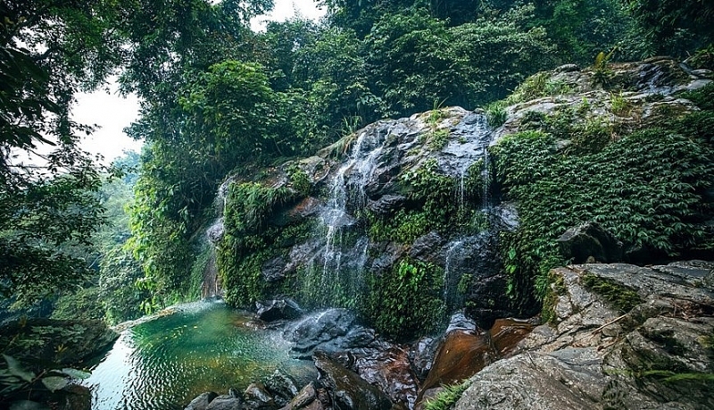 Водопад в лесу Бави