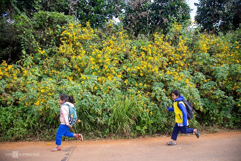 Ветропарк в Куангчи стал популярным местом для фотосессий