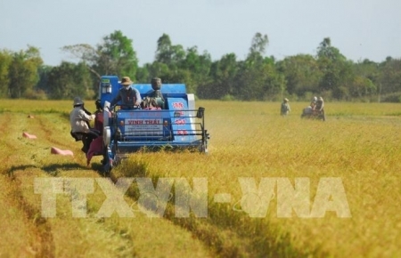 Форум «Mekong Connect 2021» пройдет в Хошимине