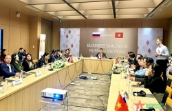 Вьетнам и Россия укрепляют сотрудничество в области энергетики