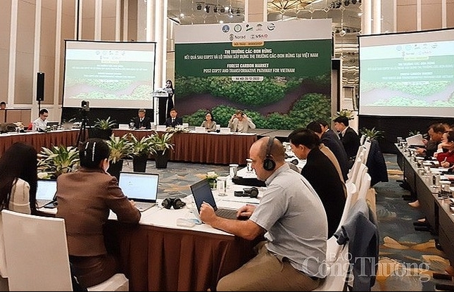 Развитие углеродного рынка для лесов во Вьетнаме