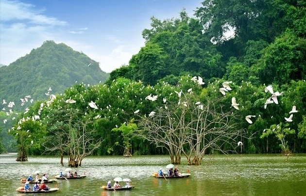 Парк птиц Тхунгнхам в провинции Ниньбинь